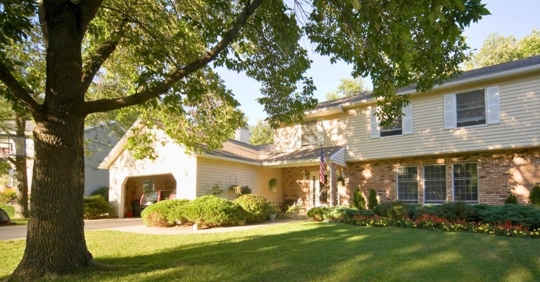 Large tree beside an American house