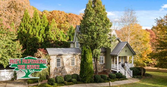 Late Summer & Early Fall Tree Care in Utah: What Homeowners Should Do Before Winter